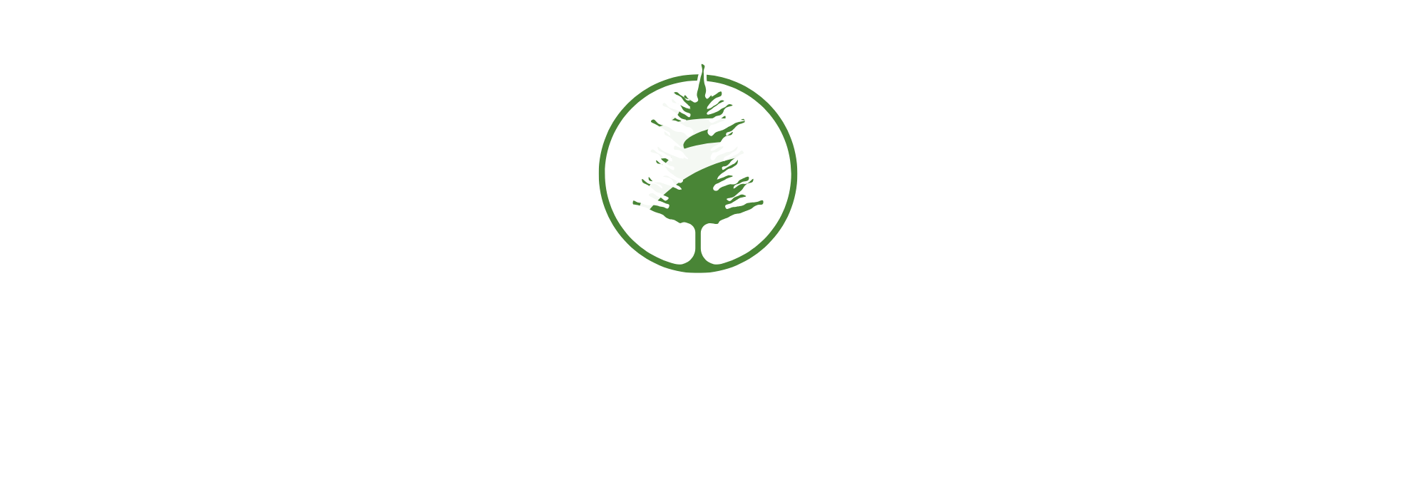 Pine Tree Martial Arts